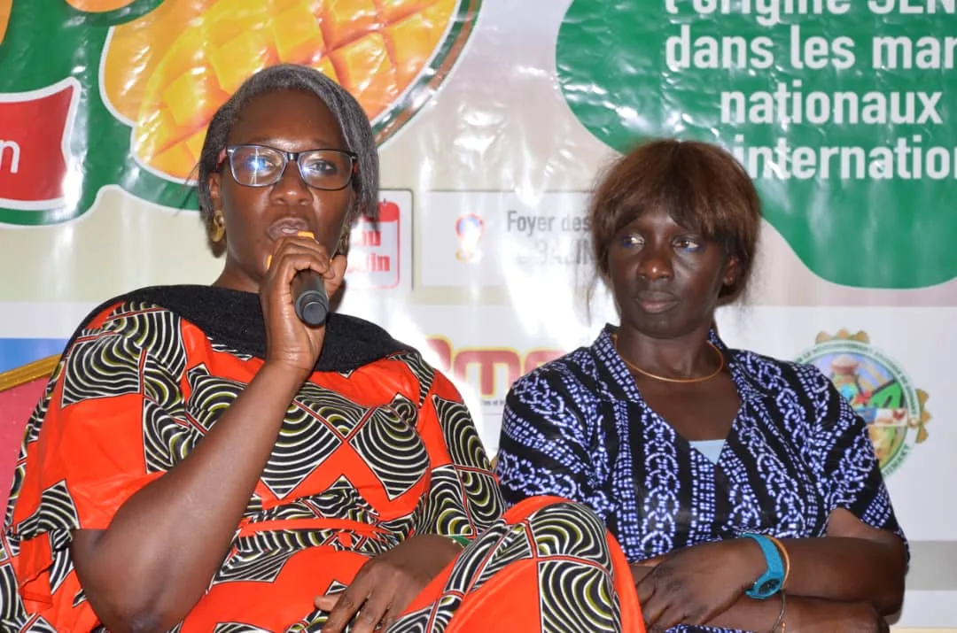 Intervention pendant un panel de la filière mangue au Festival Foumangaffe